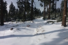 20160220_Wielka_Sowa_02