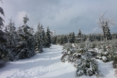 20160220_Wielka_Sowa_04