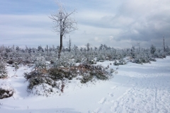 20160220_Wielka_Sowa_05