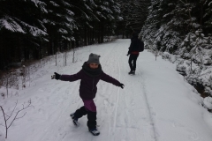 20160227_Skalnik
