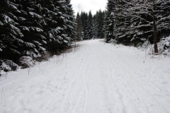 20160227_Skalnik_02