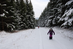 20160227_Skalnik_03