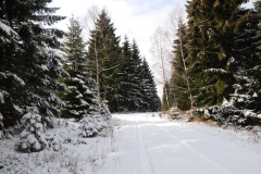 20160227_Skalnik_04