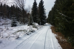 20160227_Skalnik_05