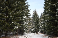 20160227_Skalnik_07