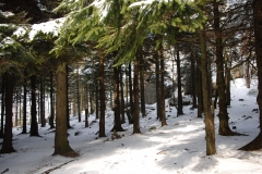 20160227_Skalnik_11