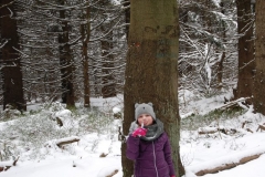 20160227_Skalnik_18
