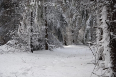 20160305_Klodzka_Gora_15
