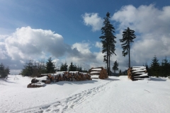 20160319_Waligora_05