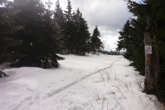 20160319_Waligora_07