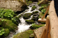 20160527_Pradziad_09