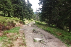20160527_Pradziad_17