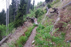 20160527_Pradziad_31