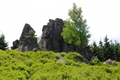 20160625_Izery_09