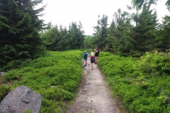 20160625_Izery_14