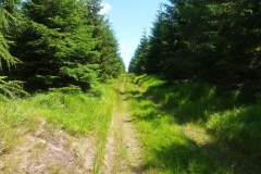 20160702_Bystrzyckie_18