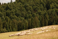 20160725_Wysoka_Pieniny_11