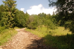 20160726_Turbacz