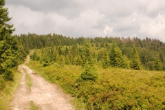 20160726_Turbacz_08