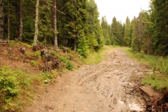 20160728_Radziejowa_03