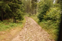 20160728_Radziejowa_07