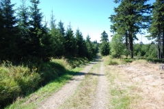 20160827_Orlickie_08