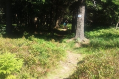 20160827_Orlickie_14