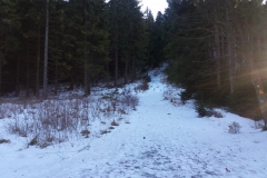 20161228_Gory_Suche_6
