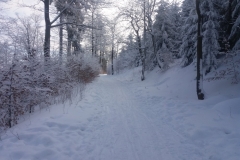 20170108_Suche_1