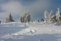 20170108_Suche_10