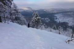 20170108_Suche_13