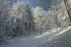 20170108_Suche_3