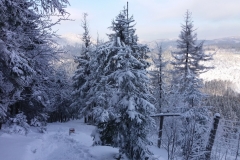 20170108_Suche_5