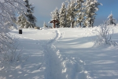 20170108_Suche_9