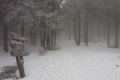 20170220_114524_Kalenica