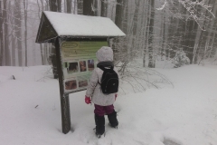 20170220_120732_Kalenica