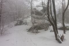 20170220_120737_Kalenica