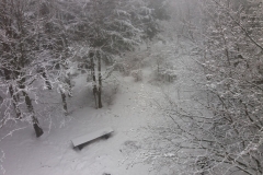 20170220_121918_Kalenica