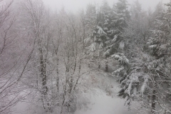 20170220_121922_Kalenica