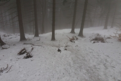 20170220_133002_Kalenica