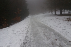 20170220_142946_Kalenica