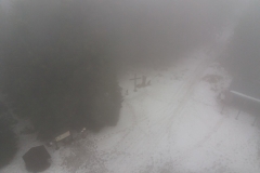 20170223_141002_Borowkowa