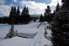 20170225_Karkonosze_13