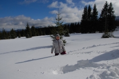 20170225_Karkonosze_15
