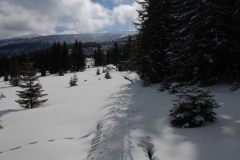 20170225_Karkonosze_18