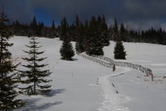 20170225_Karkonosze_19