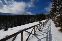 20170225_Karkonosze_21