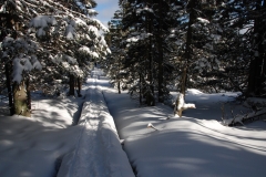 20170225_Karkonosze_27
