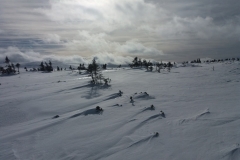 20170225_Karkonosze_30