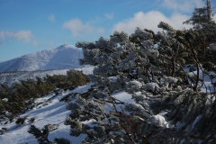 20170225_Karkonosze_31